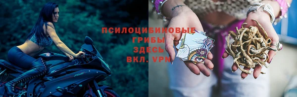 гашик Балабаново