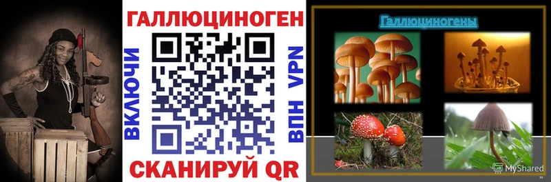 Галлюциногенные грибы GOLDEN TEACHER  MEGA зеркало  Заволжск 
