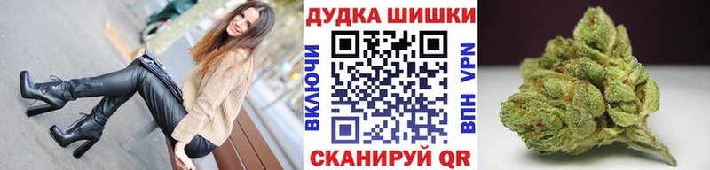 Бошки Шишки план  Заволжск 